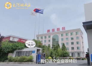 【大河財(cái)立方】綠色智造新質(zhì)未來-新鄉(xiāng)振動(dòng)向新力